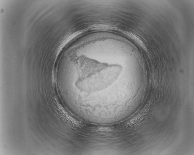 X0000058130839200510171334