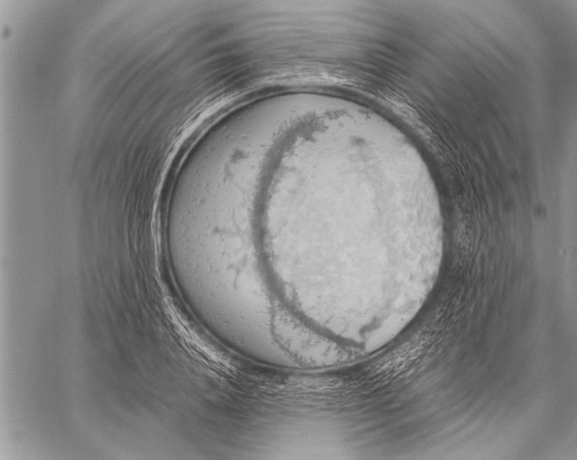 X0000058130840200510171334