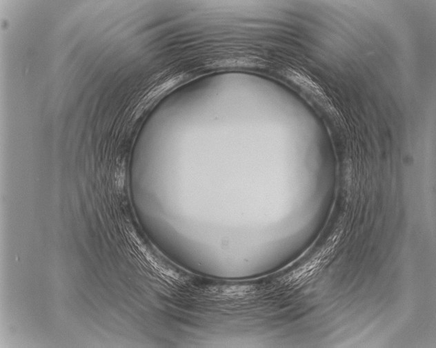 X0000058130841200510171334