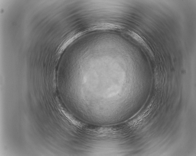 X0000058130842200510171334