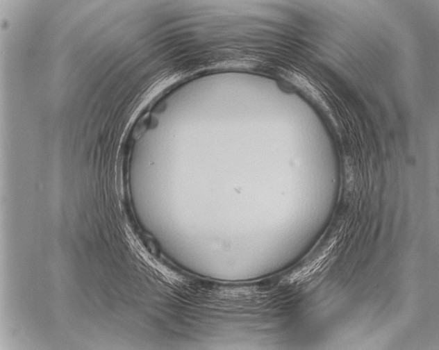 X0000058130843200510171334