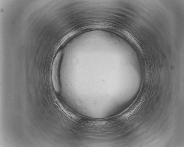 X0000058130845200510171334