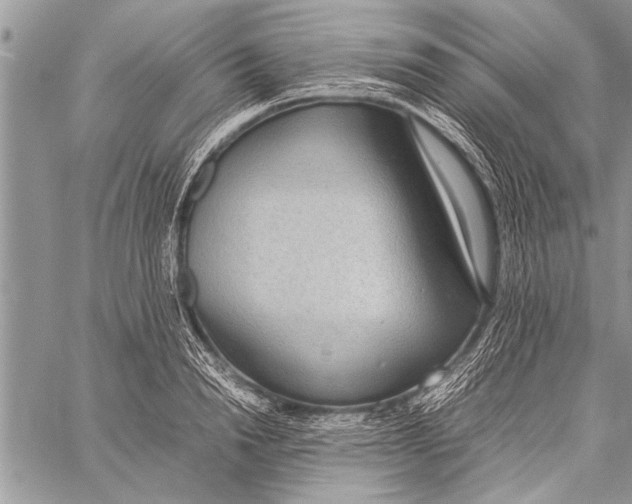 X0000058130846200510171334