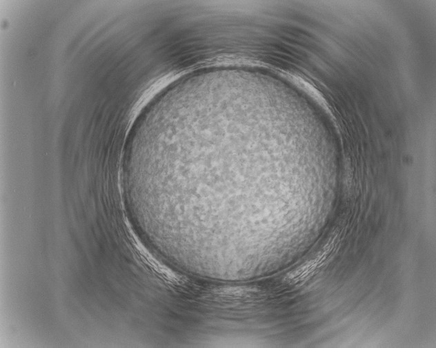 X0000058130847200510171334