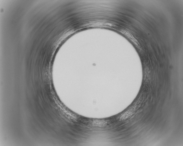 X0000058130848200510171334