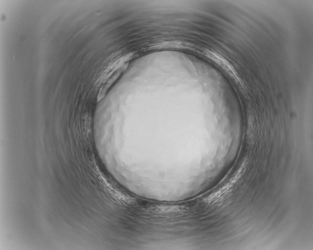 X0000058130849200510171334