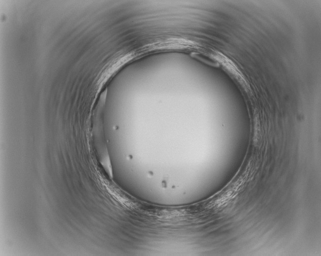 X0000058130850200510171334