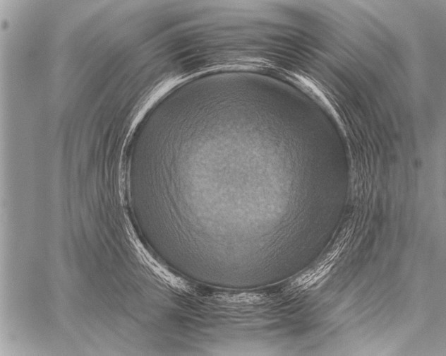 X0000058130851200510171334