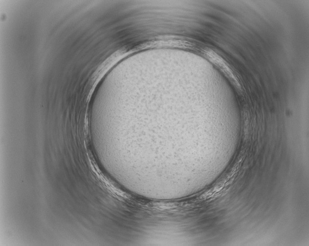 X0000058130852200510171334