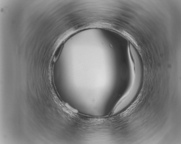 X0000058130854200510171334