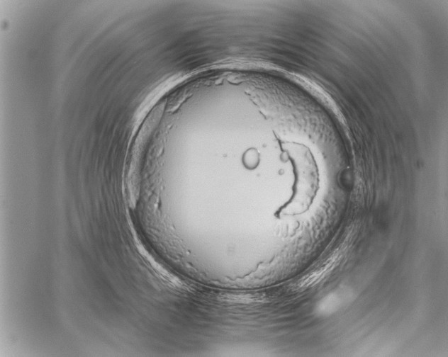 X0000058130855200510171334