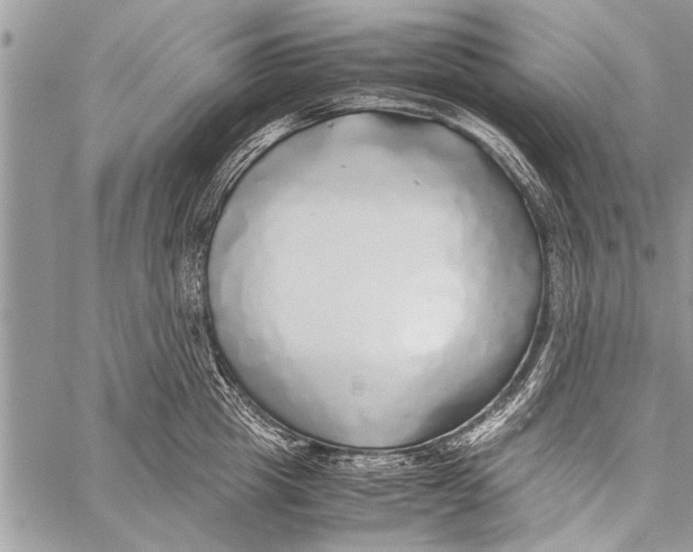 X0000058130857200510171334