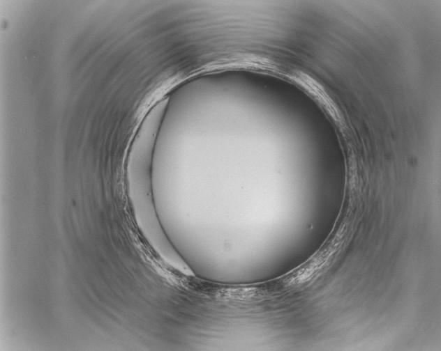 X0000058130858200510171334