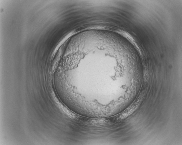 X0000058130859200510171334