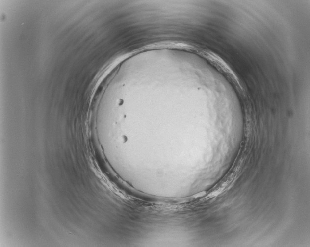 X0000058130860200510171334