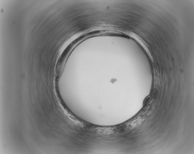 X0000058130861200510171334