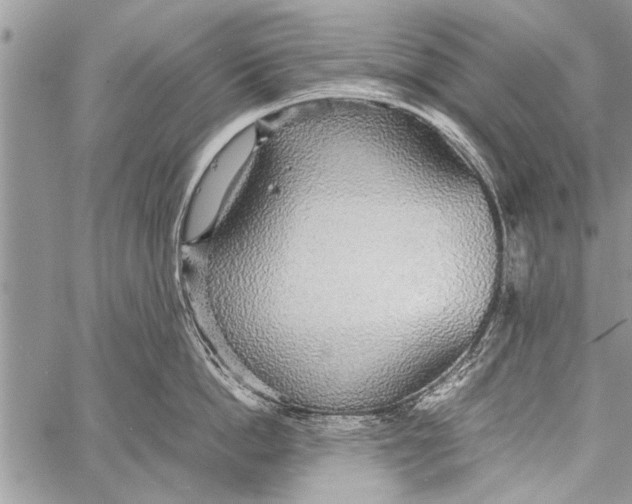 X0000058130862200510171334