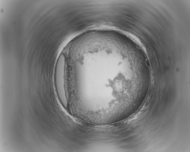 X0000058130863200510171334