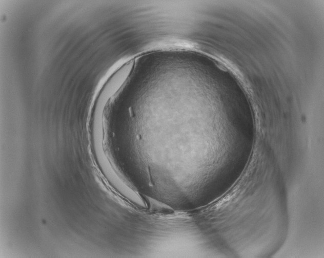 X0000058130864200510171334