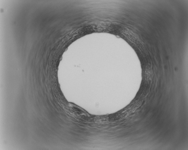 X0000058130865200510171334