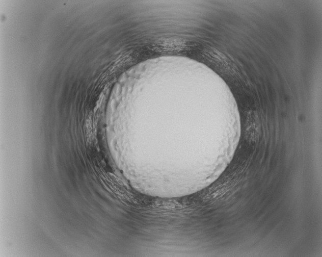 X0000058130866200510171334