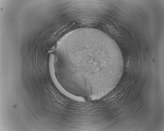 X0000058130868200510171334