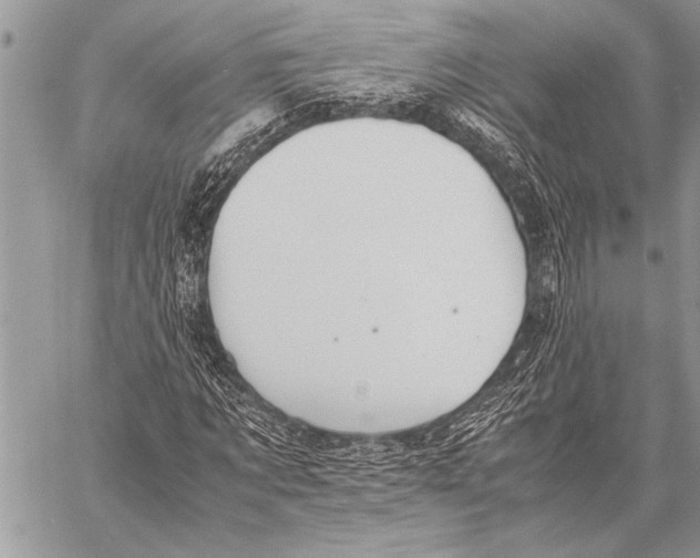 X0000058130869200510171334