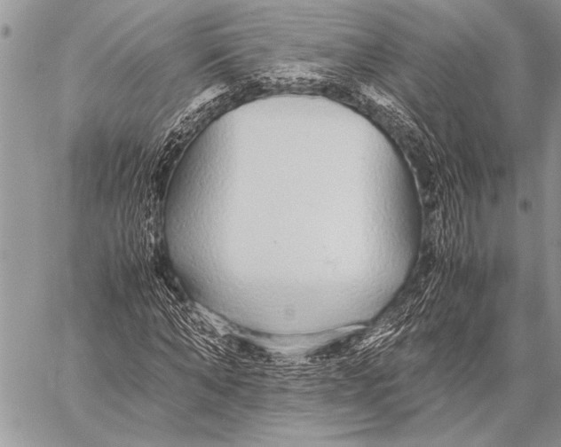 X0000058130870200510171334