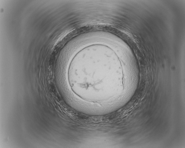 X0000058130871200510171334