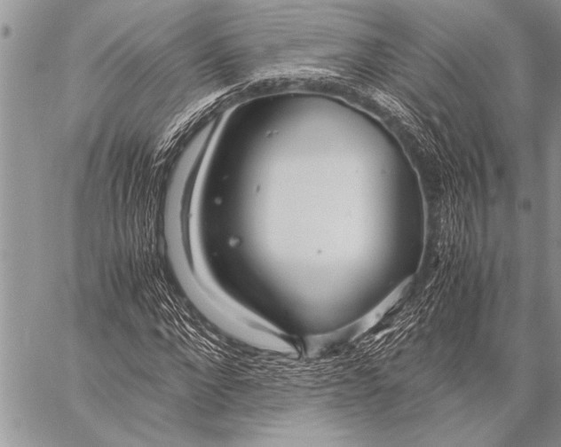 X0000058130872200510171334