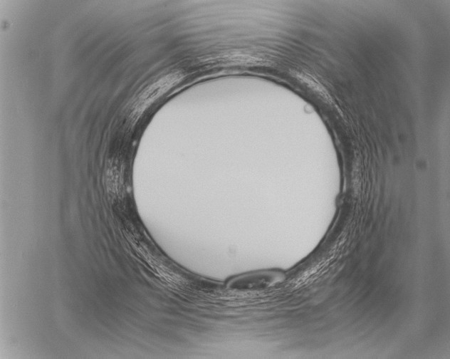 X0000058130873200510171334