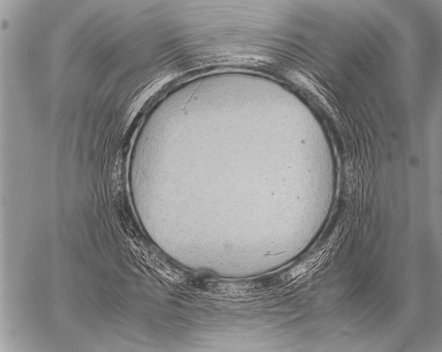 X0000058130875200510171333