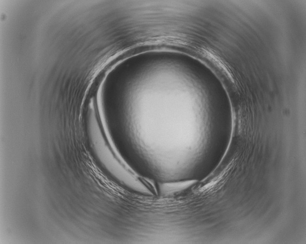 X0000058130876200510171333