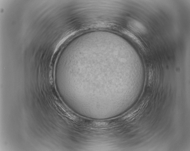 X0000058130878200510171333