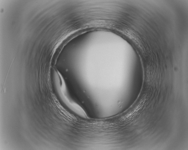 X0000058130880200510171333