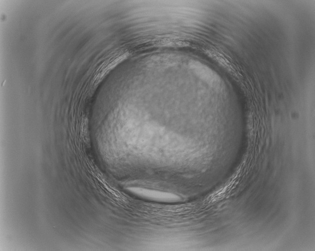 X0000058130881200510171333