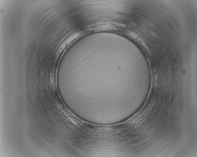 X0000058130882200510171333