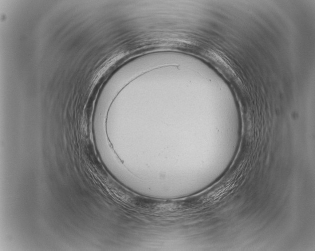 X0000058130883200510171333