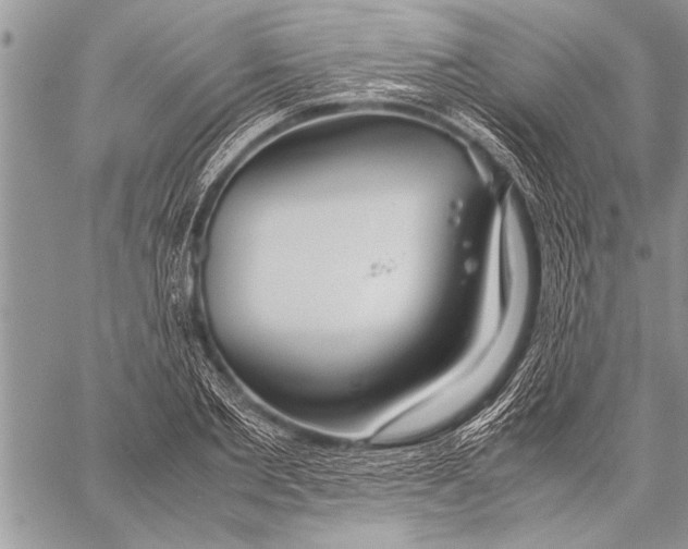 X0000058130885200510171333