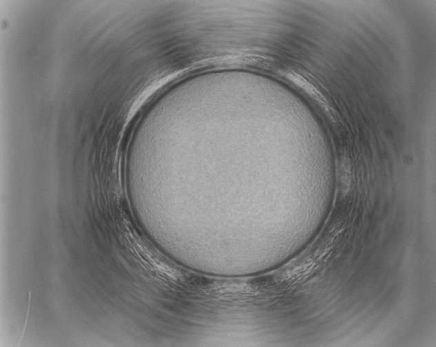 X0000058130886200510171333