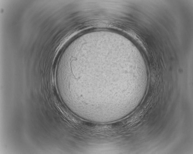 X0000058130887200510171333