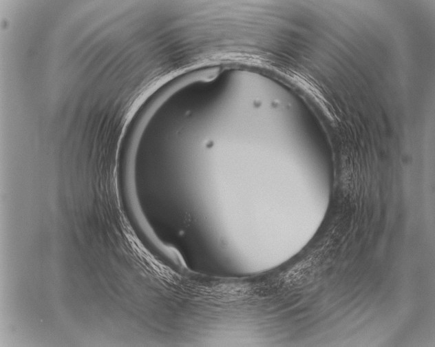 X0000058130888200510171333