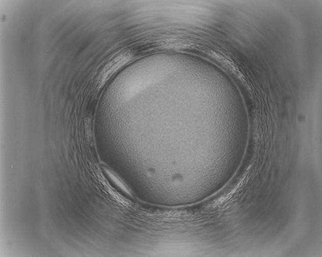 X0000058130889200510171333