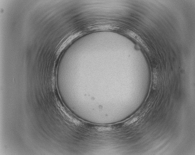 X0000058130890200510171333