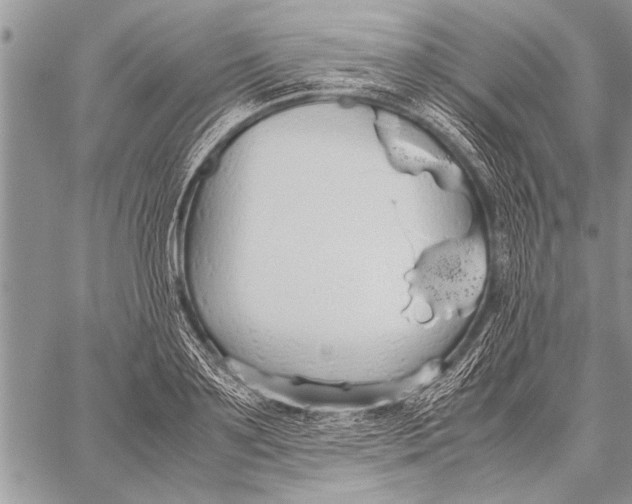 X0000058130891200510171333