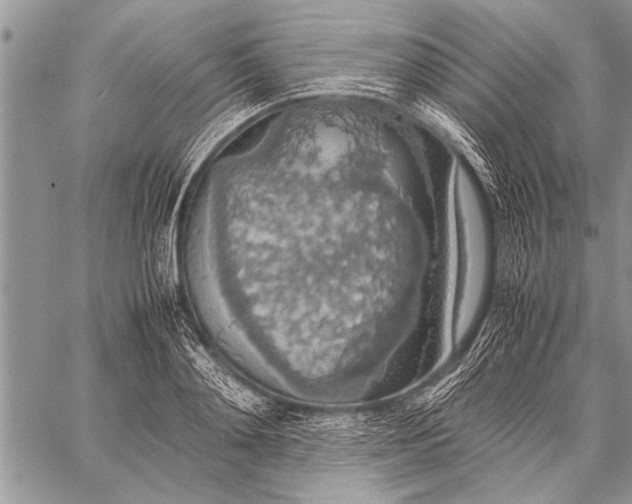 X0000058130892200510171333