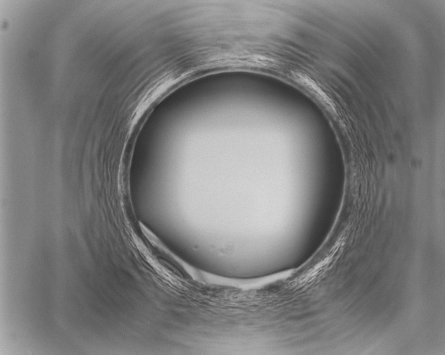 X0000058130893200510171333