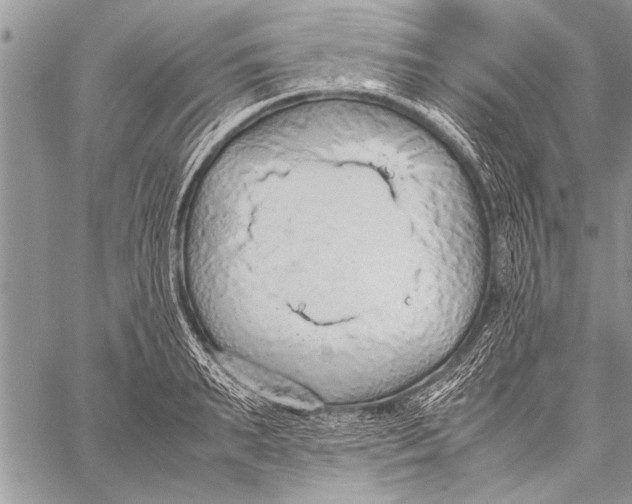 X0000058130895200510171333