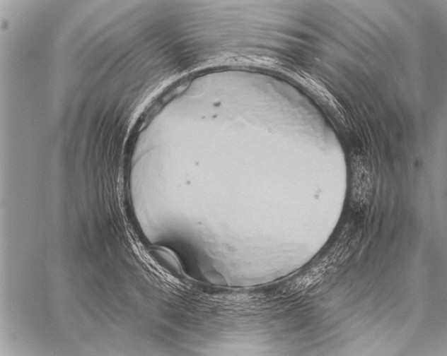 X0000058130896200510171333