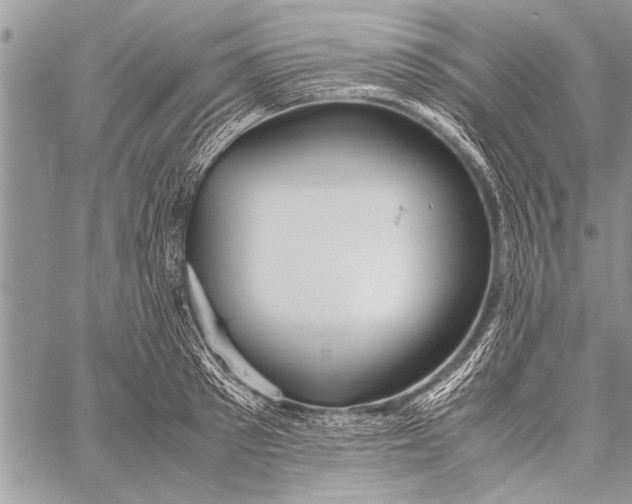 X0000058130897200510171333